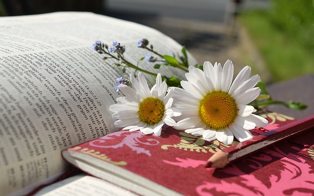 An open book with a white daisy placed on top.